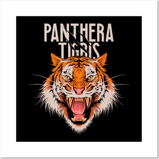 Panthera Tigris Posters and Art